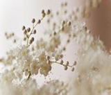 吴花热玩体育