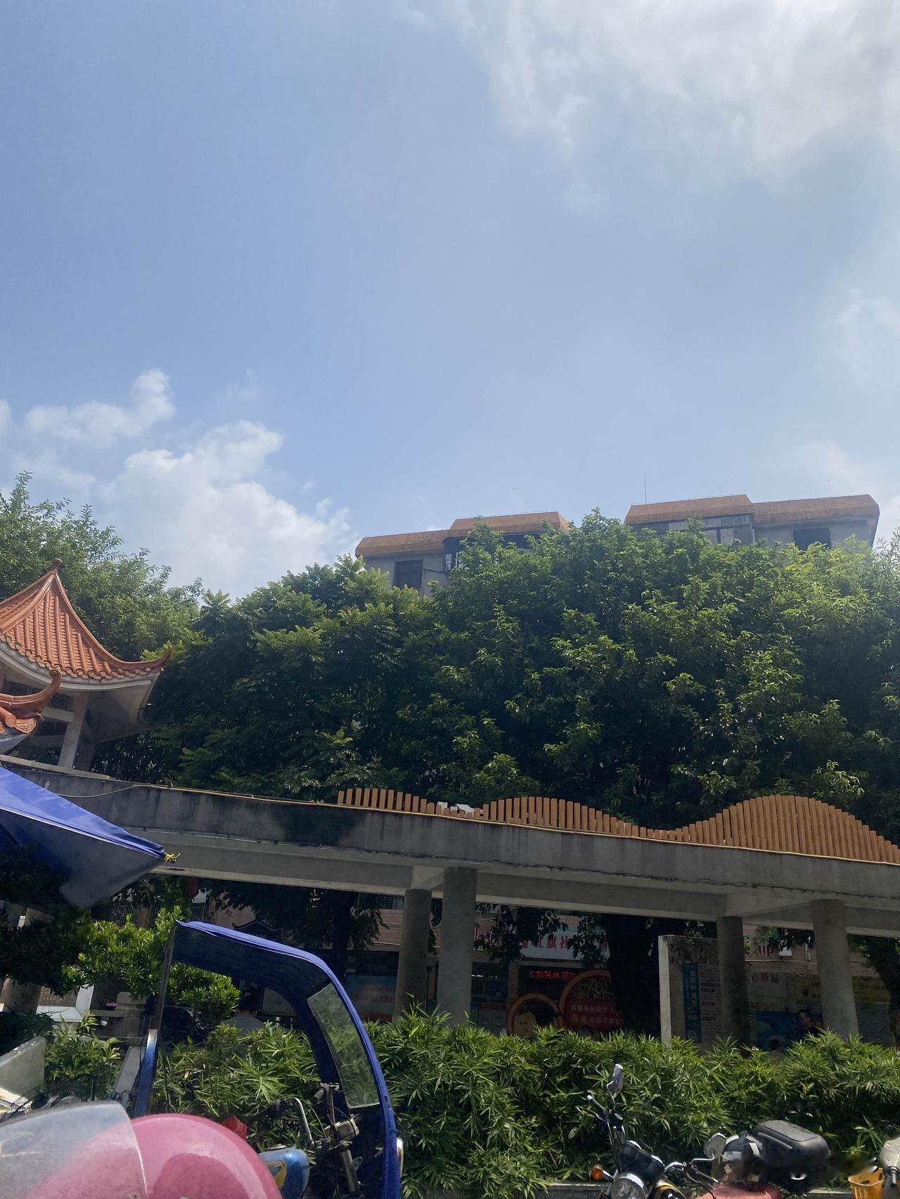 入秋后别老想着进补大鱼大肉。我隔壁阿姨以前一立秋就炖排骨、熬油汤，结果嗓子冒火、