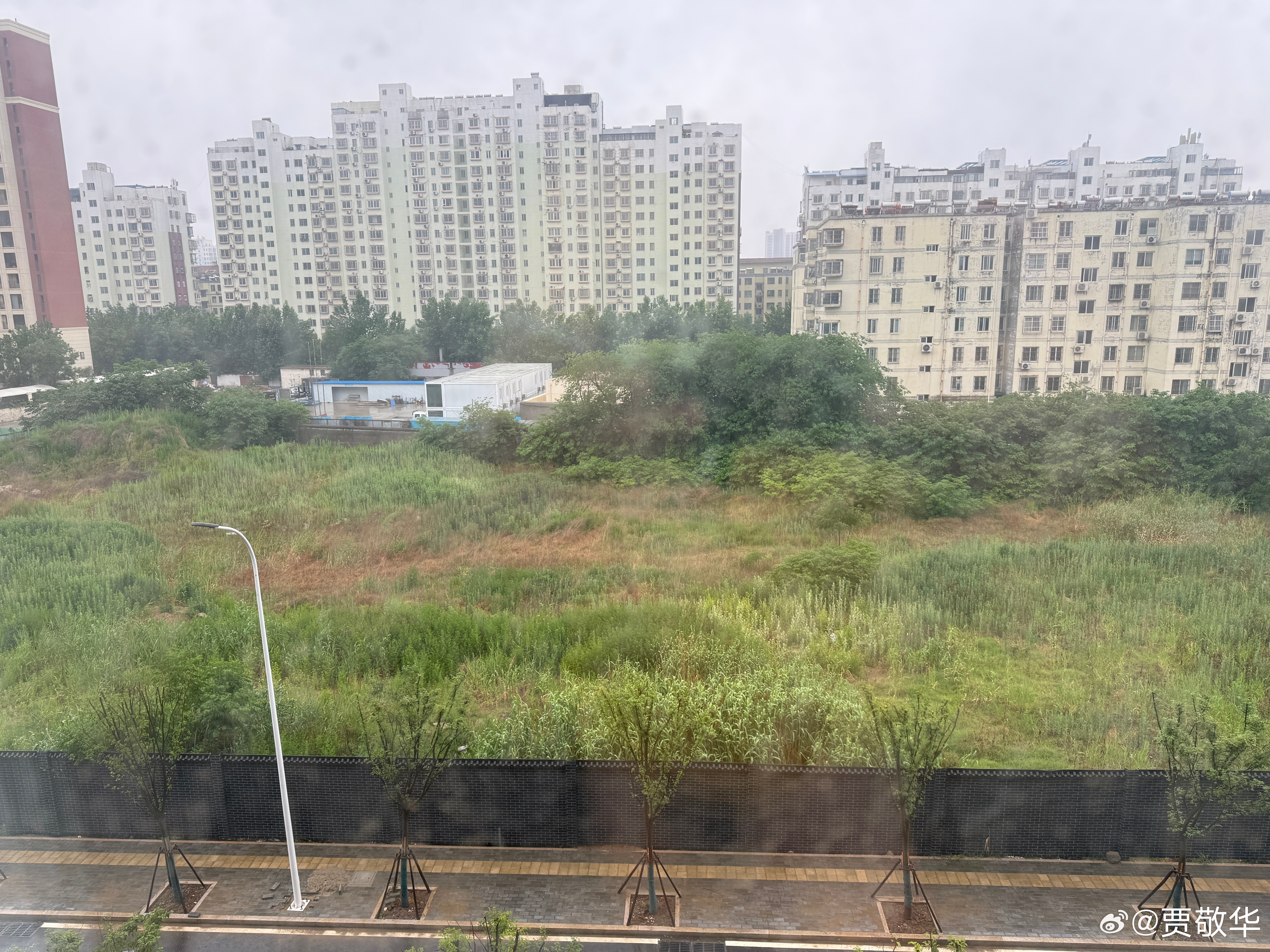 #每天早起打卡# 这是夏天的第一场雨，还是春天的最后一场雨呢？起床，干饭去！ 