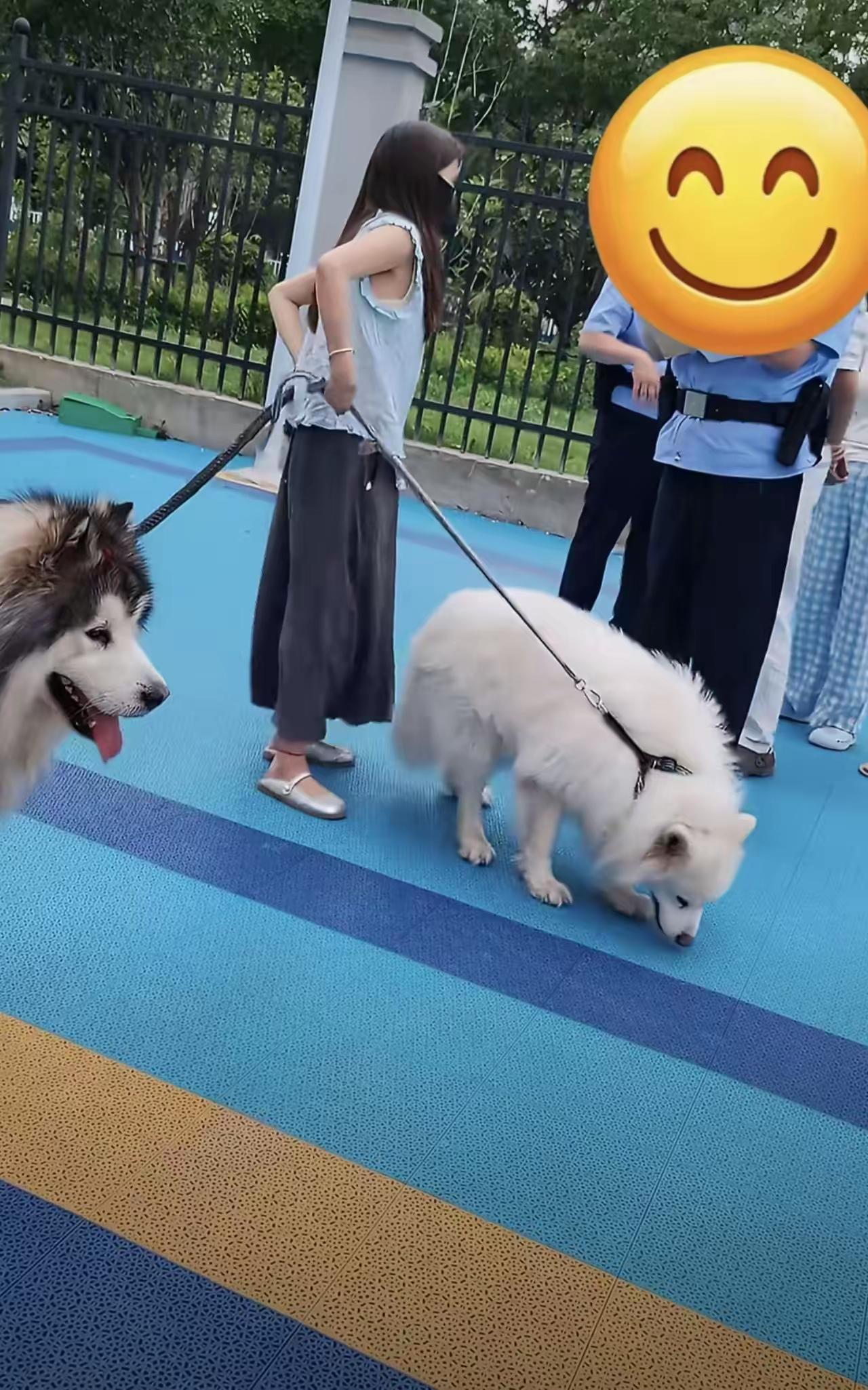 女子牵着两只大型犬在小区里遛，咬到了一个孩子。​孩子的家长报了警，民警叔叔了解情