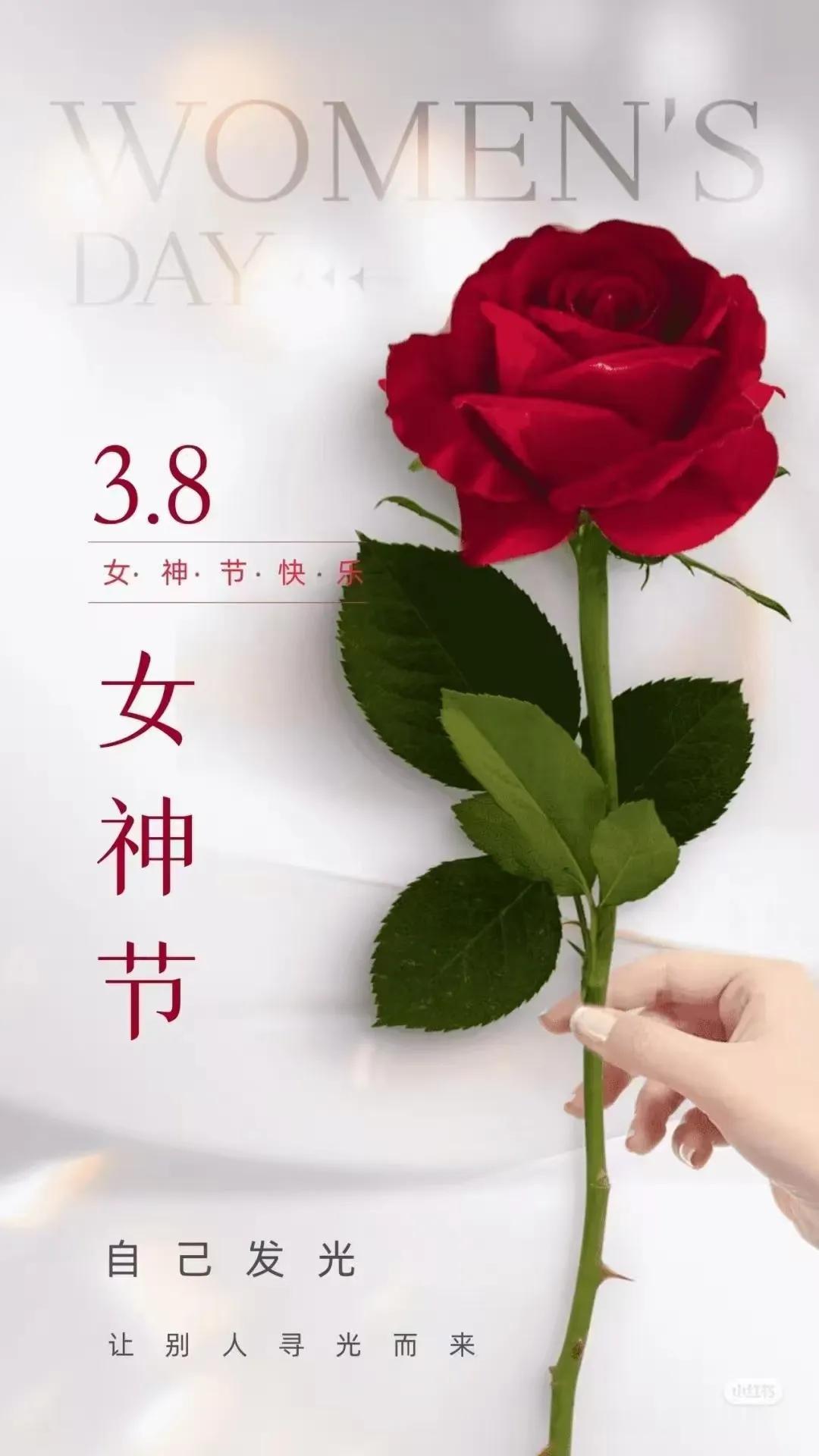 3.8
㊗️女神节快乐