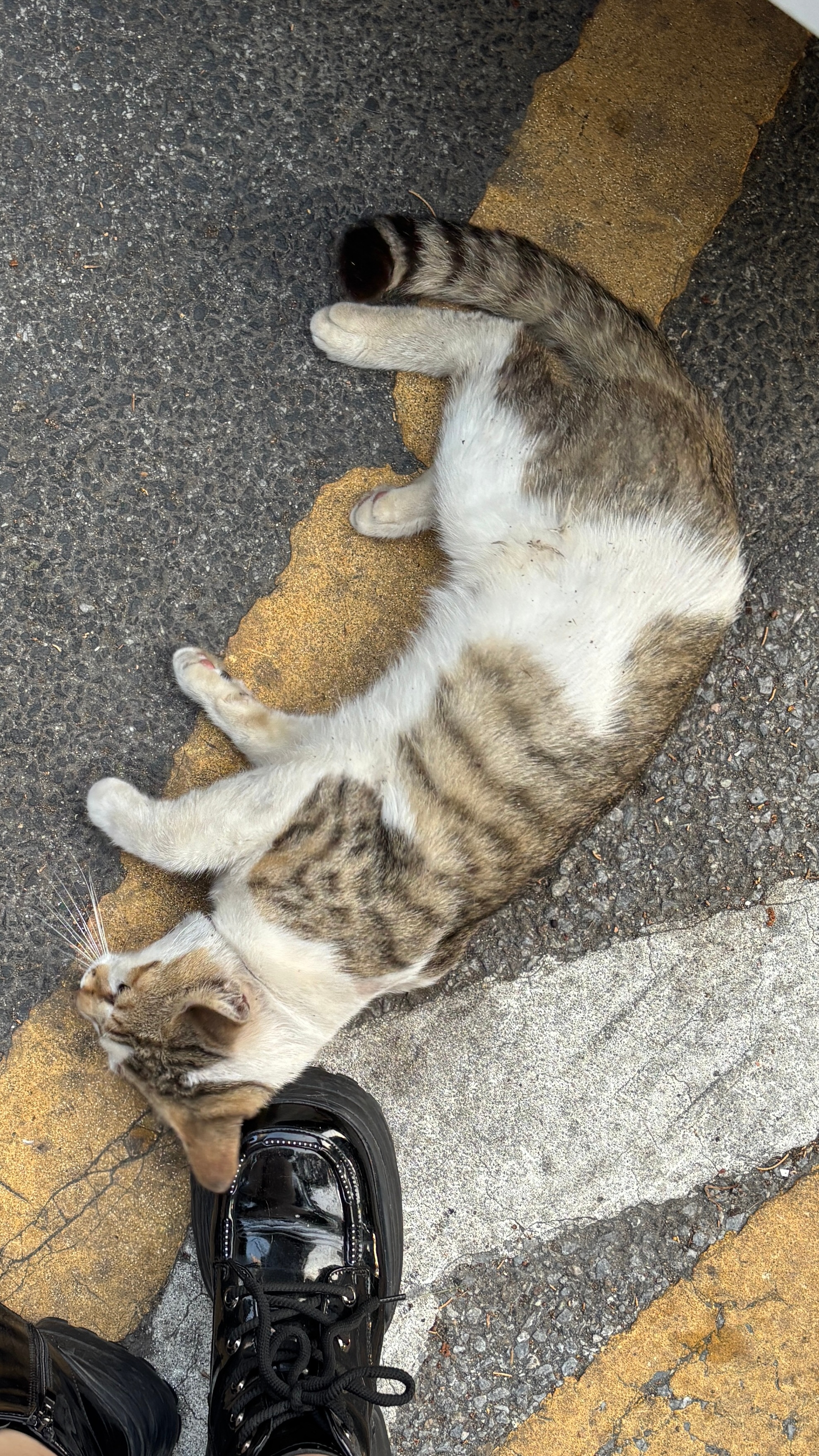 小宝宝 