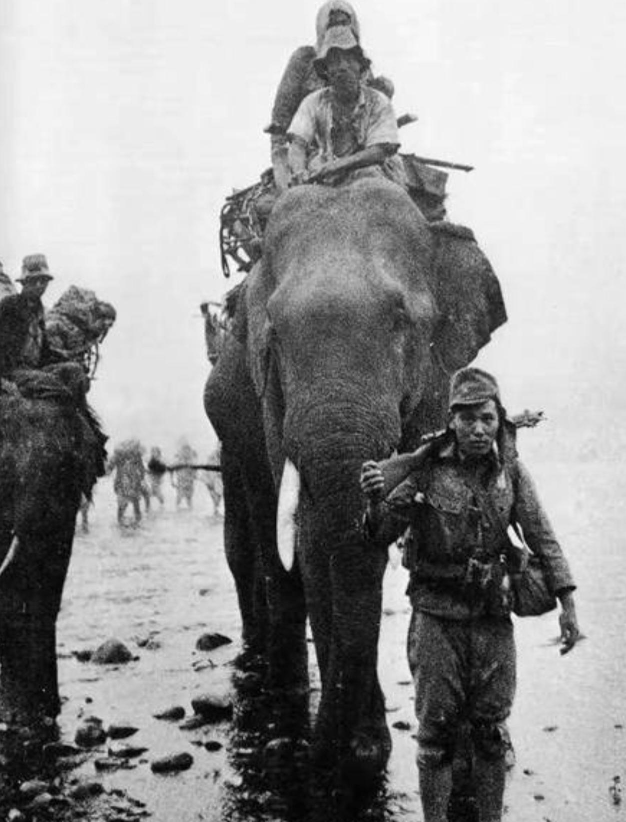 这张照片拍摄于1944年3月，正值日军英帕尔战役（代号“乌号作战”）的发起阶段。