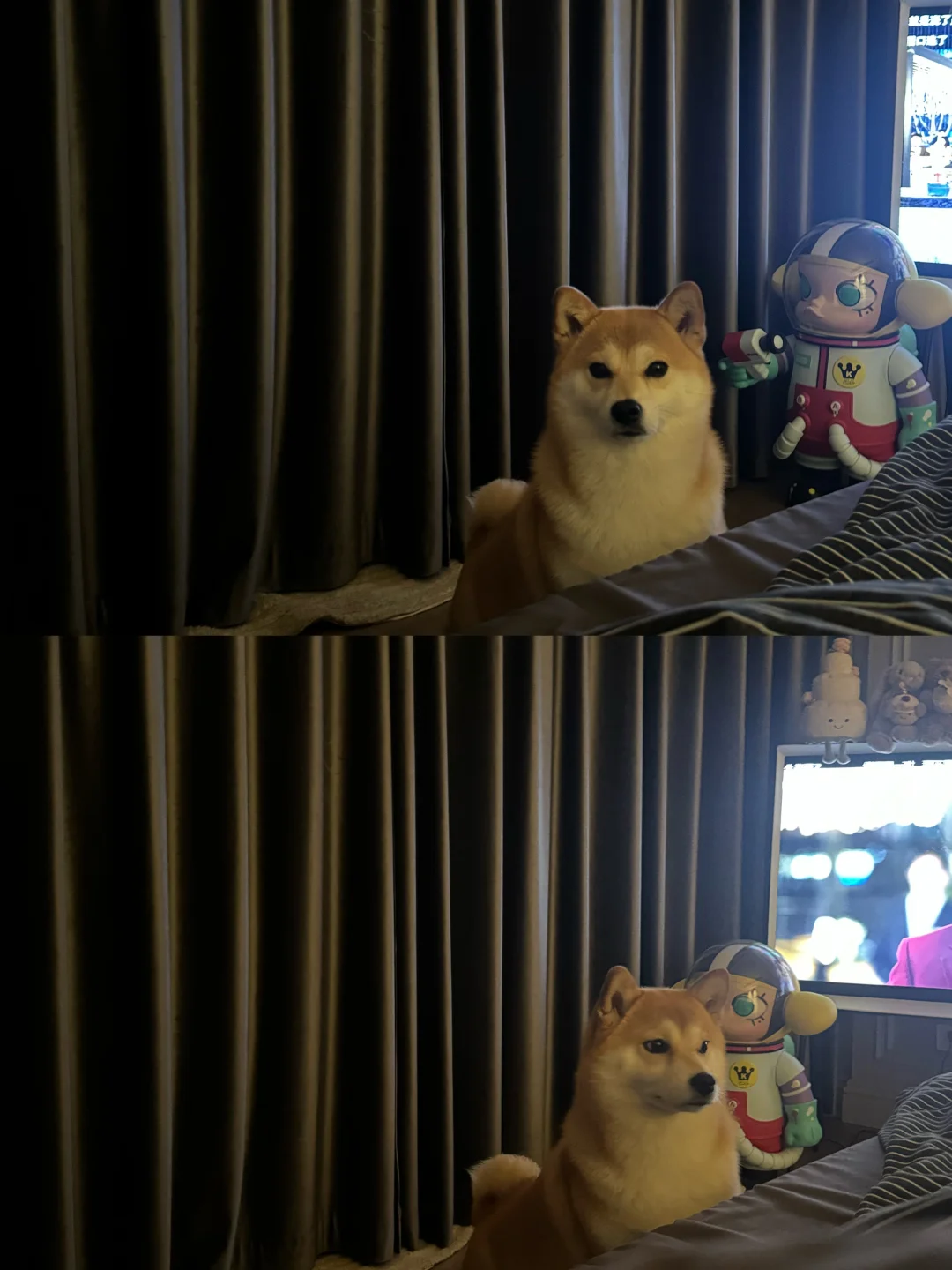 人，你懂我意思吗？我要上床。
