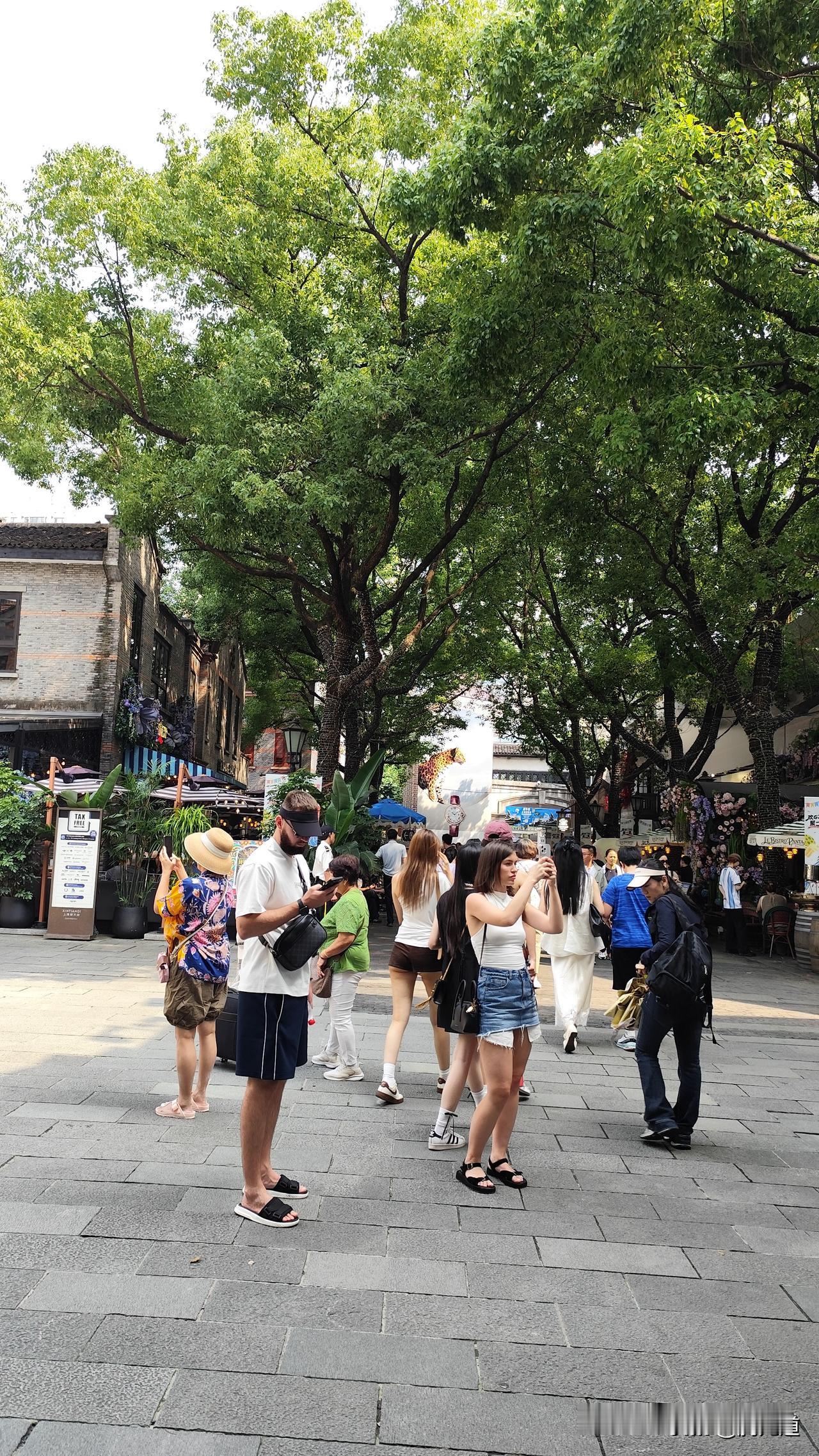 分享你随手拍的风景夏天的街景