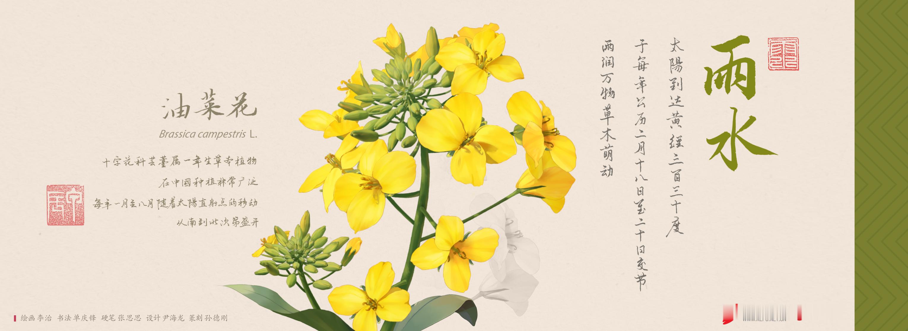 【今日，雨水】好雨知时节，当春乃发生。今日迎来雨水节气。“雨水落，万物生”，美好