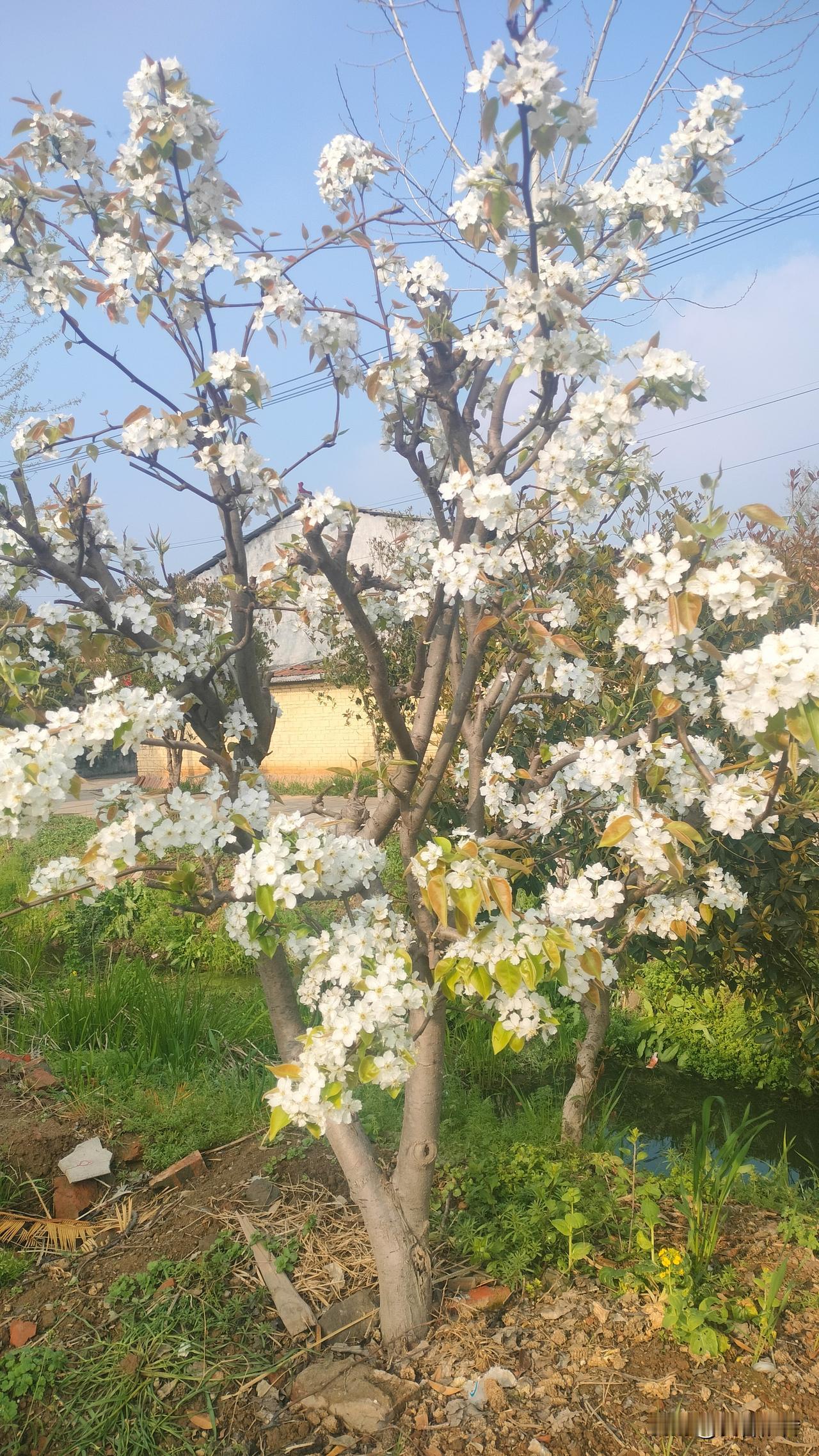 到底是人性本善，还是人性本恶？
这个争论了几千年的话题，似乎没有标准答案。但有一