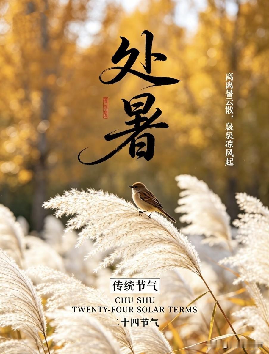 “女怕处暑”，今日处暑，提醒女人：晚上最不能做的4件事，别犯忌讳
 
民间俗语“