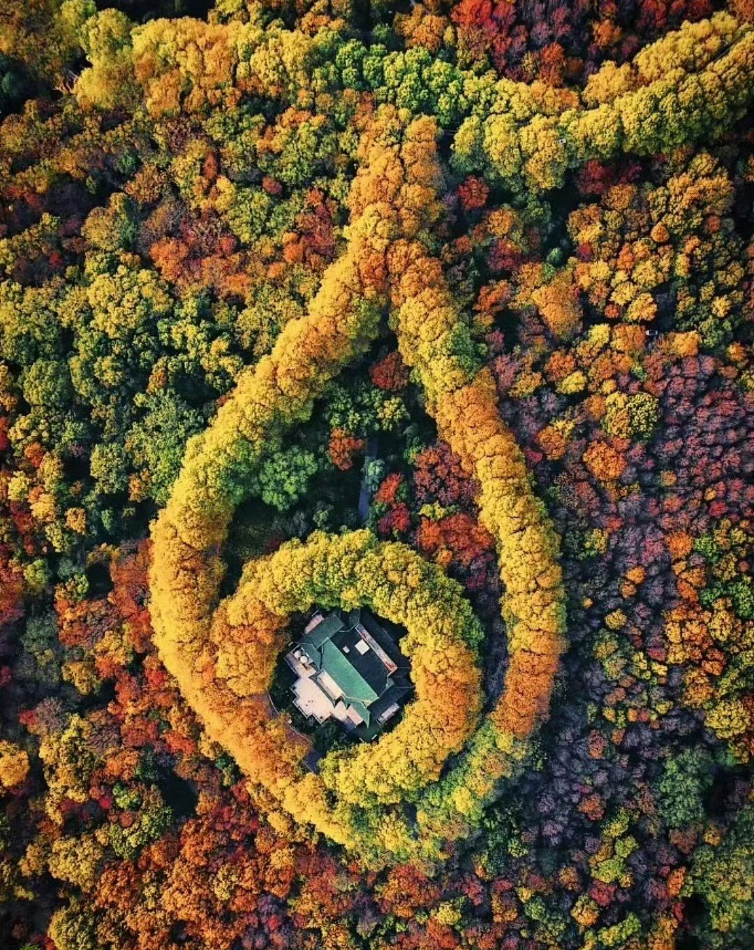 混乱是你成长的一部分。当你感到焦虑或沮丧时，不要轻易相信自己生病了。你可能正处于