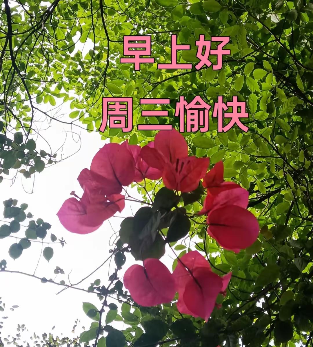 早上好
身体康健，便是最大的底气，
心态从容，快乐才会如约而至。
岁月同行，温暖