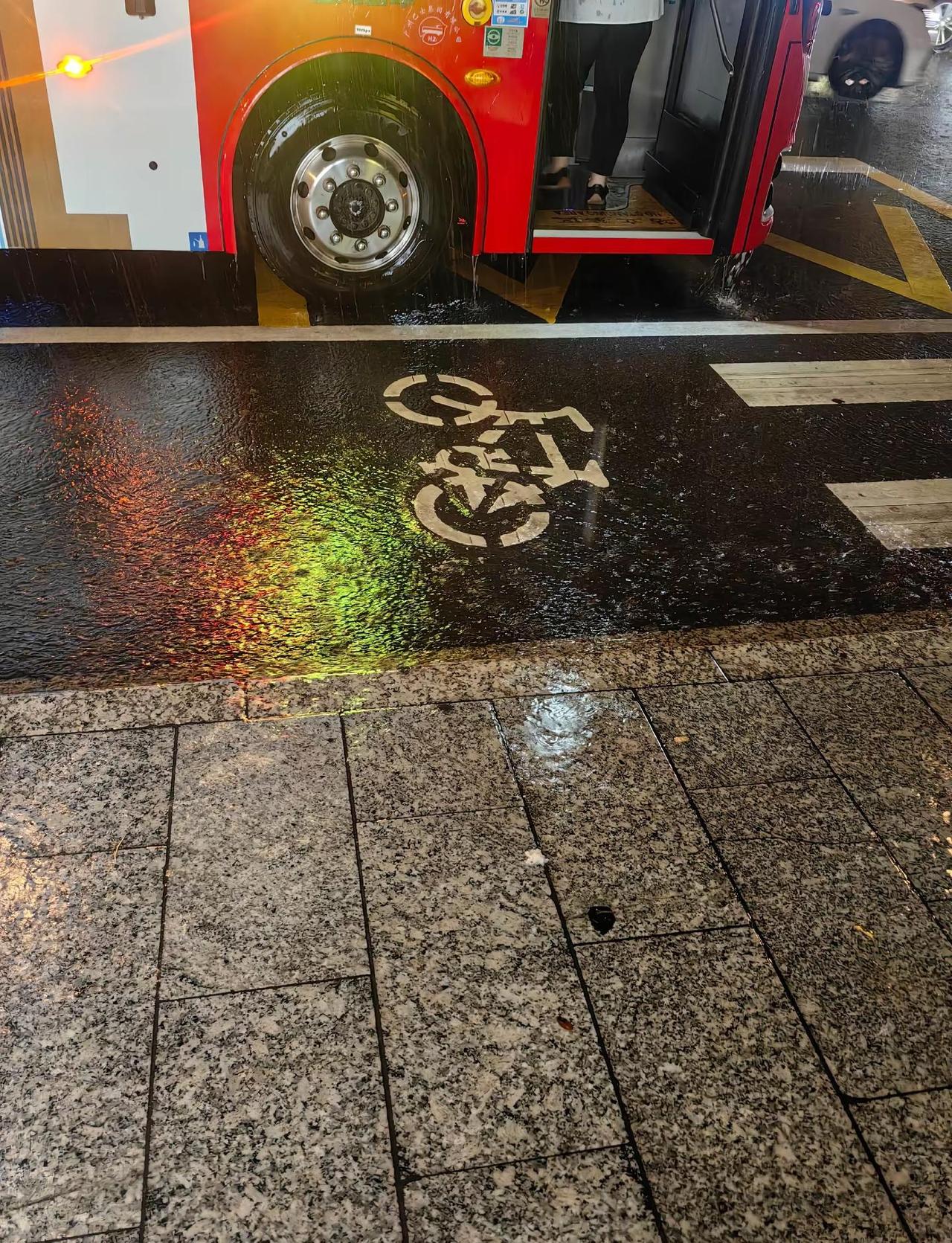 感谢185公交司机，大雨中只有您把车停在距离车站一步的位置，也许在您眼中是一件小