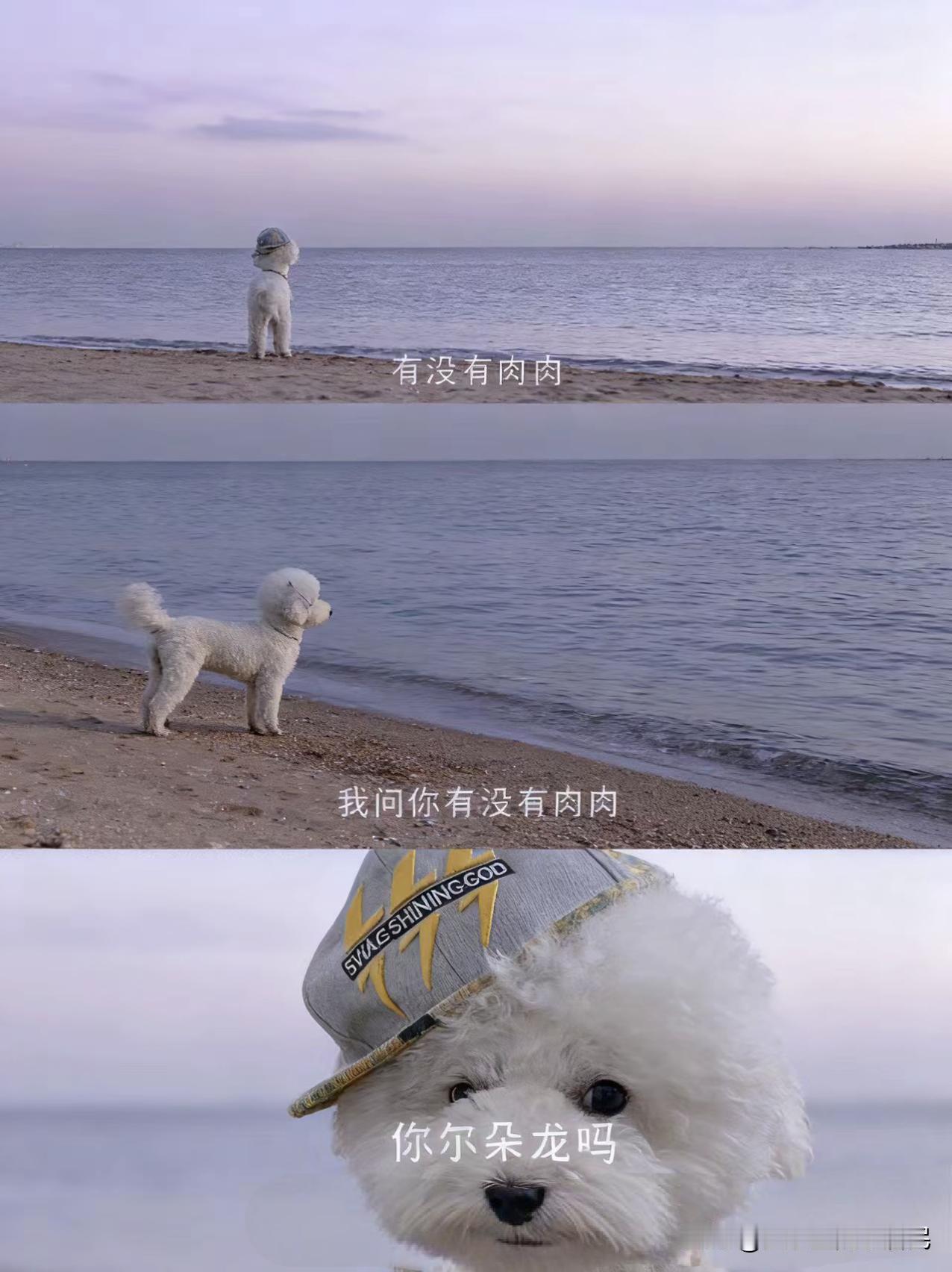 爆了…
爆了 爆了…

阅读量爆了，单价爆了
真的爆了，我谢谢你嗯。

我问你有