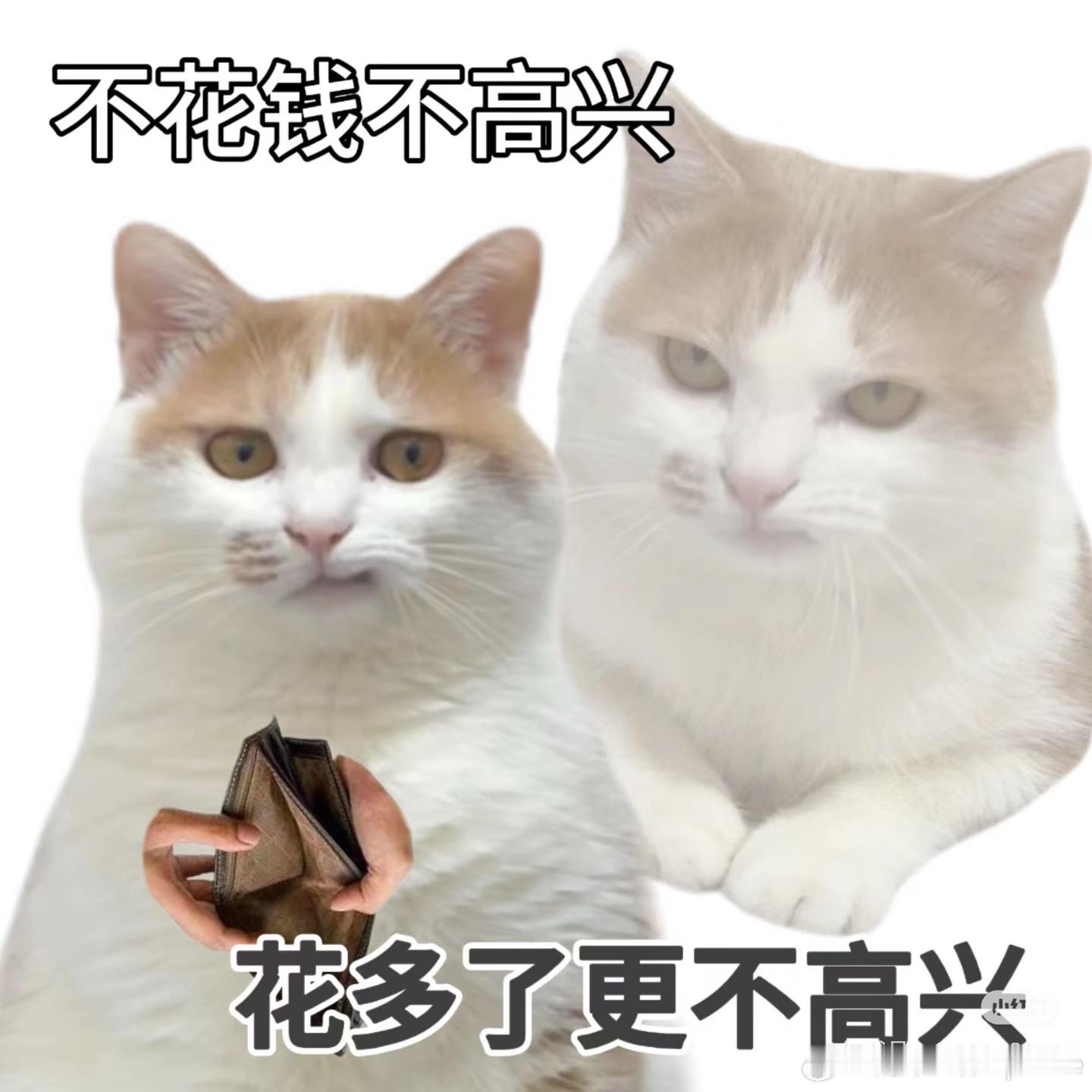 【update今日聊】大家的花呗额度是多少？大家的炫富时间到了～我记得大学时候刚