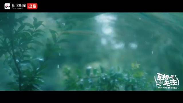 #王祖贤隐退22年后首个访谈#
王祖贤隐退22年终于出新访谈了！打破传了二十年的情伤退圈传闻，好从容
