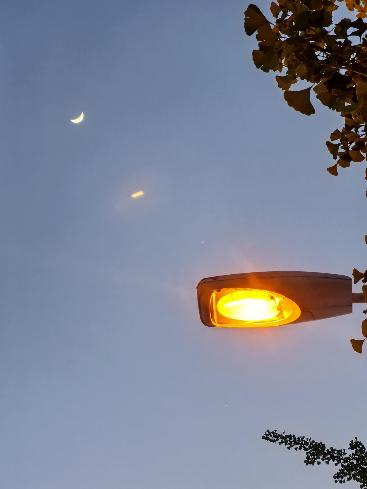 昨夜的月亮