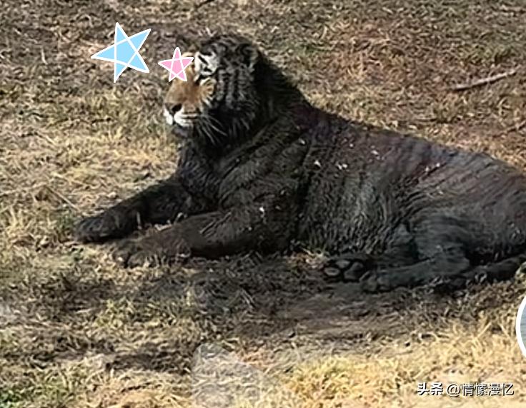 我妈说“你洗脸就洗脸蛋吗？脖子像车轴似的，竟是皴”[捂脸]幽默风趣搞笑的“东北二