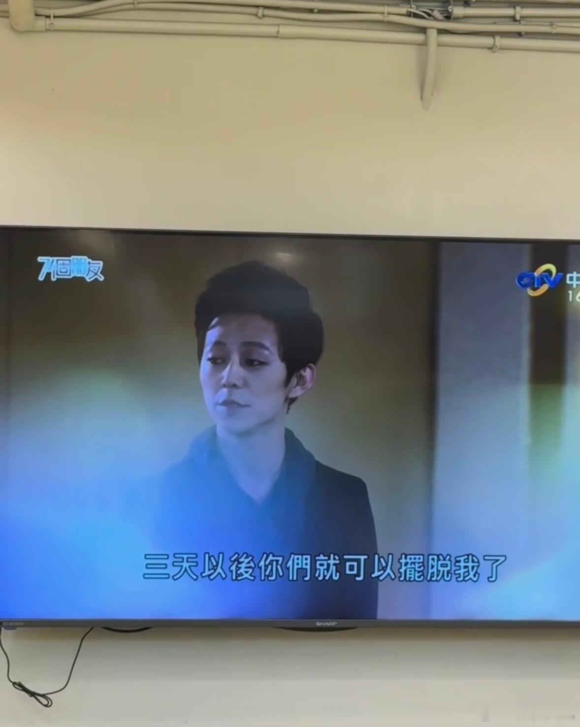 何炅付辛博居然演过台剧妈呀看我看到了谁，何老师和付辛博看古早台剧看到了何炅付辛博