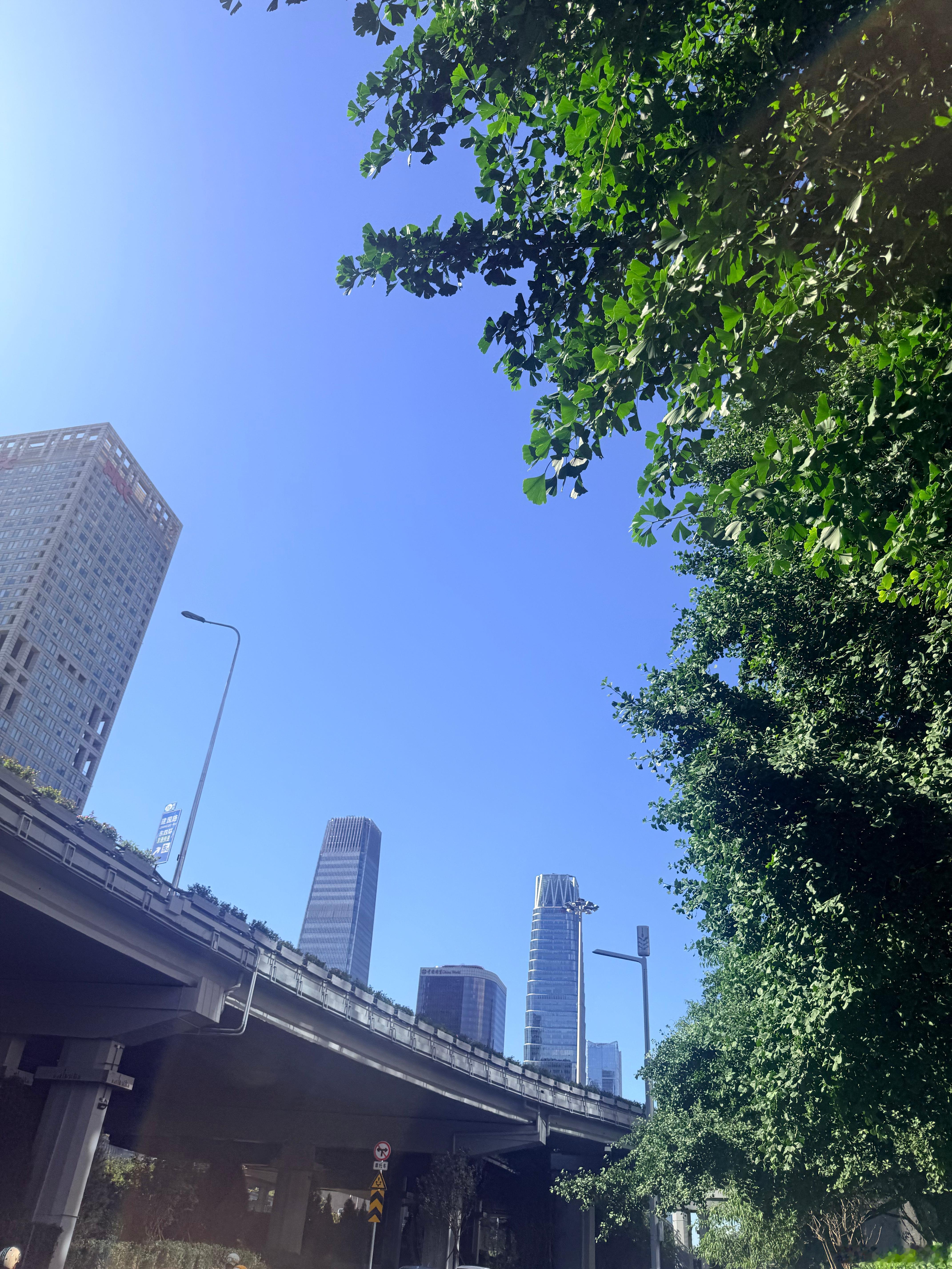 小鹿记  xz 陪肖战走花路 出发～❤️