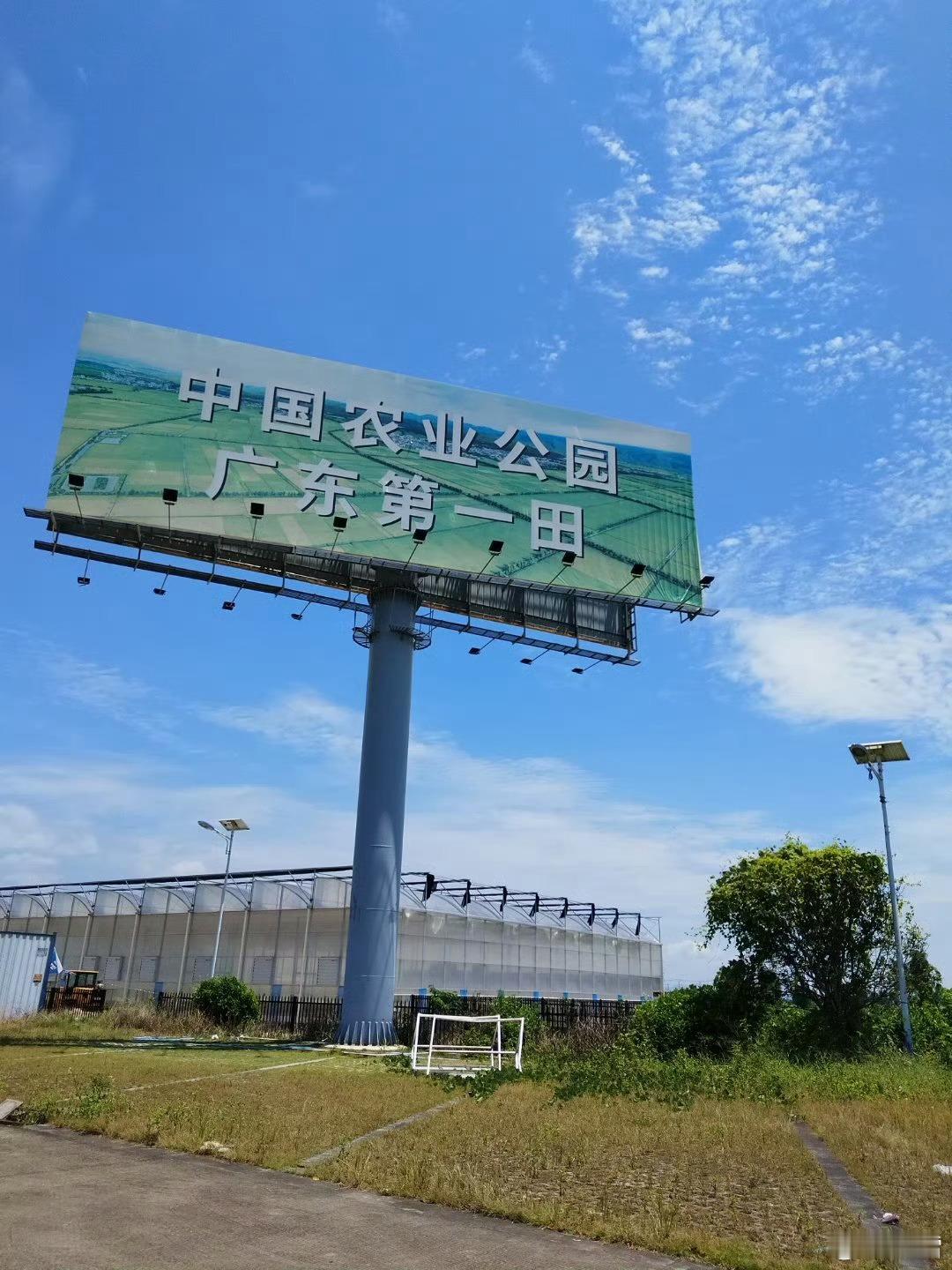 “世界鳗鱼看中国，中国鳗鱼看台山”——江门台山，夏天微博刷到广东第一田，还有小小