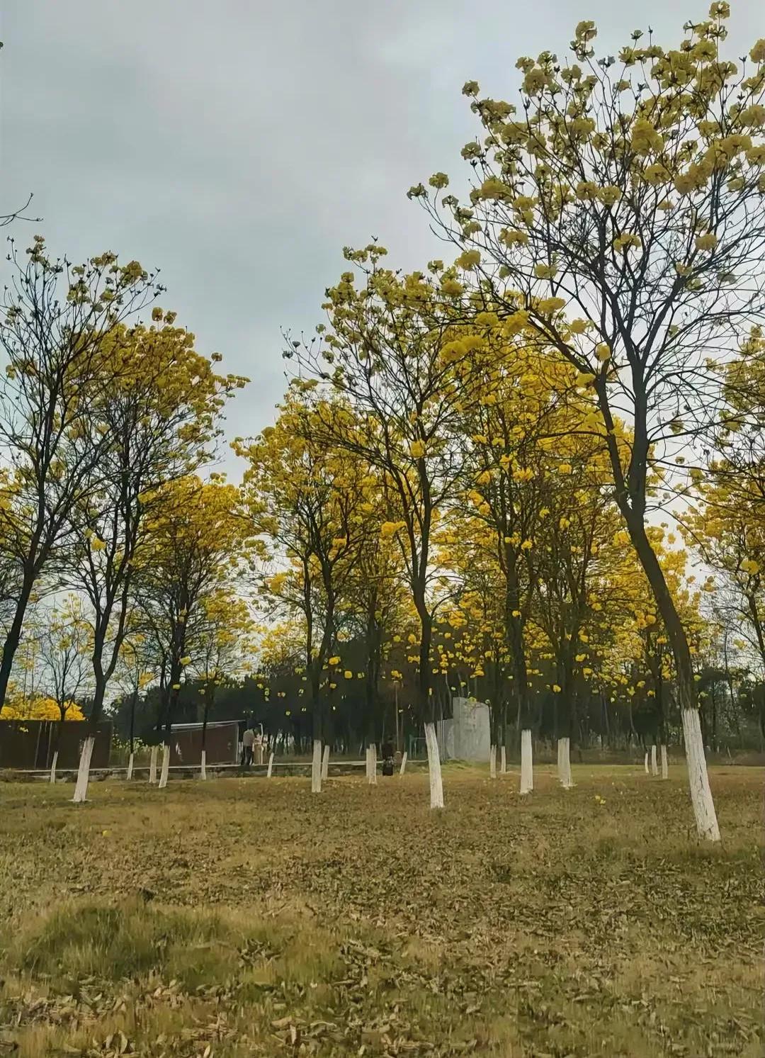 关于涵涵的事，我觉得小姨还是年少任性点，不懂得涵涵是姐姐姐夫爱的结晶，也有姐夫的