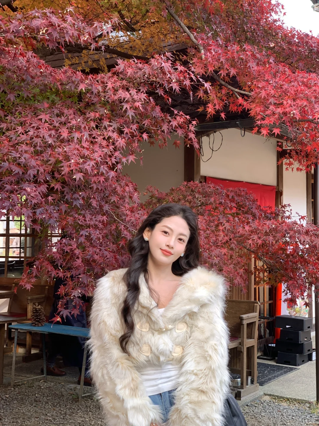 Tokyo京都红叶季🍁