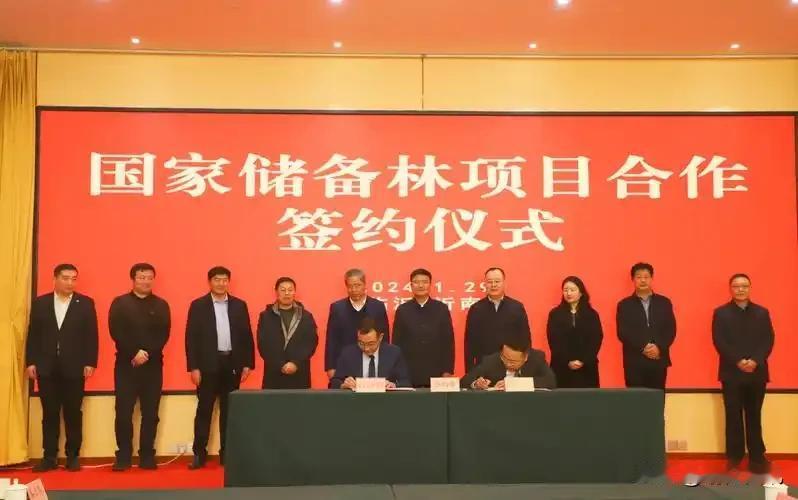 速看国家储备林项目核心新政
 
一、核心政策文件总览(2025)
 
1. 《国