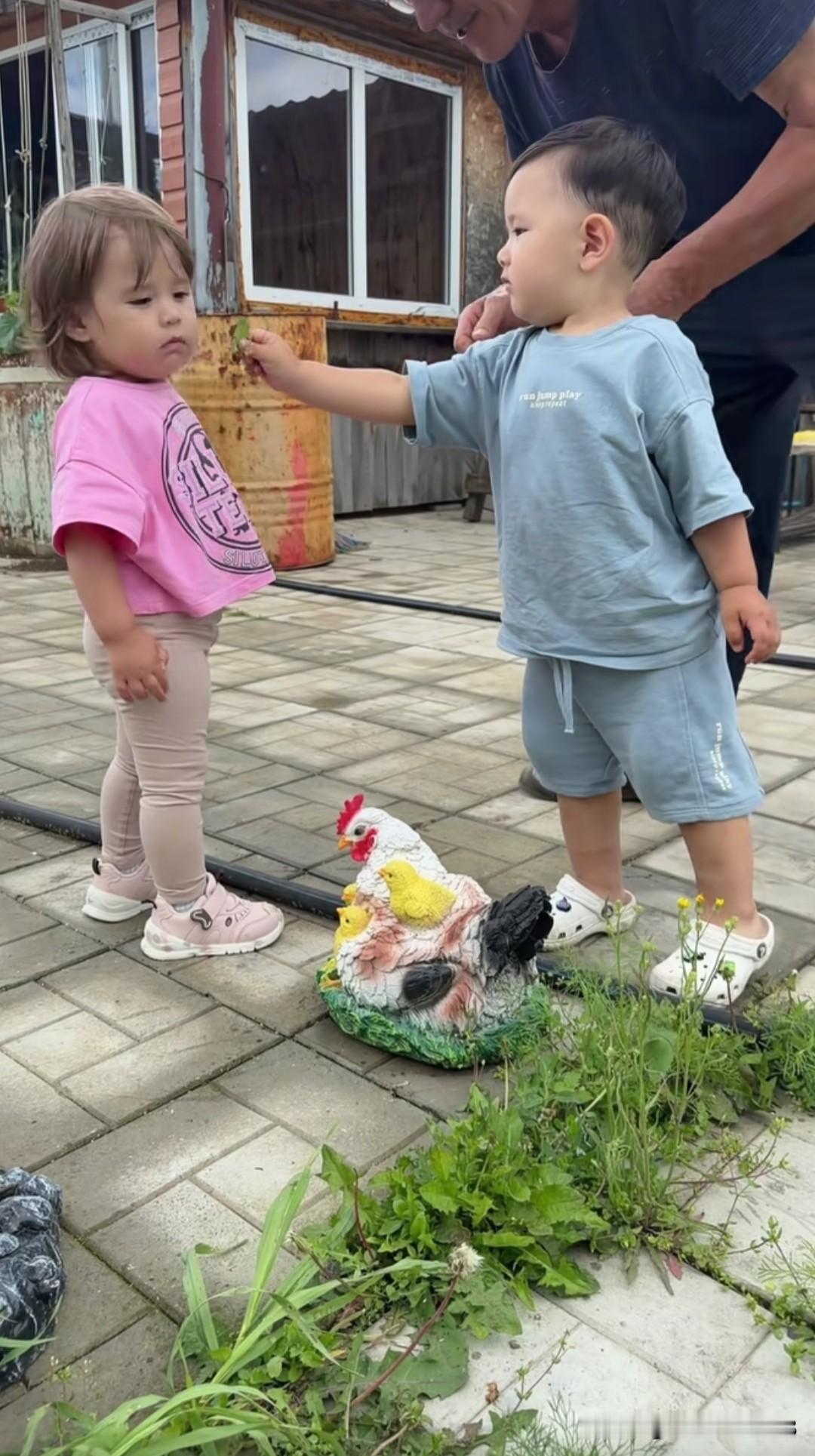 小缇安在姥爷家门口抓了一把草送到索菲亚妹妹面前，让她闻一闻，小老三像哥哥样子，还