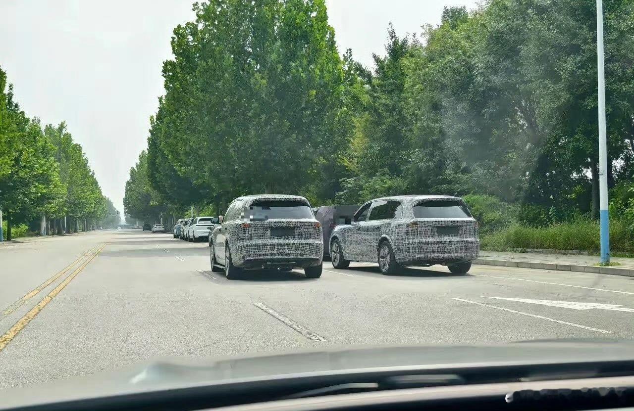 看这绿油油的样子，一定不是近期的图片了…不过我在想全新理想L9 除了人人都知道的