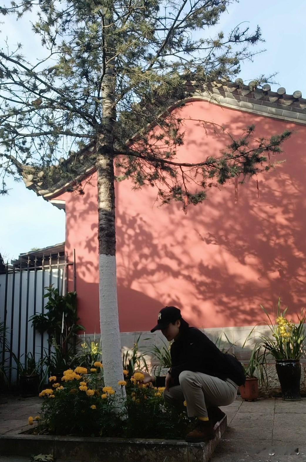 又逢农历十五，陪家中老妈来寺庙烧香拜佛，吃斋饭。寺里来祈福的人真不少，一看，几乎