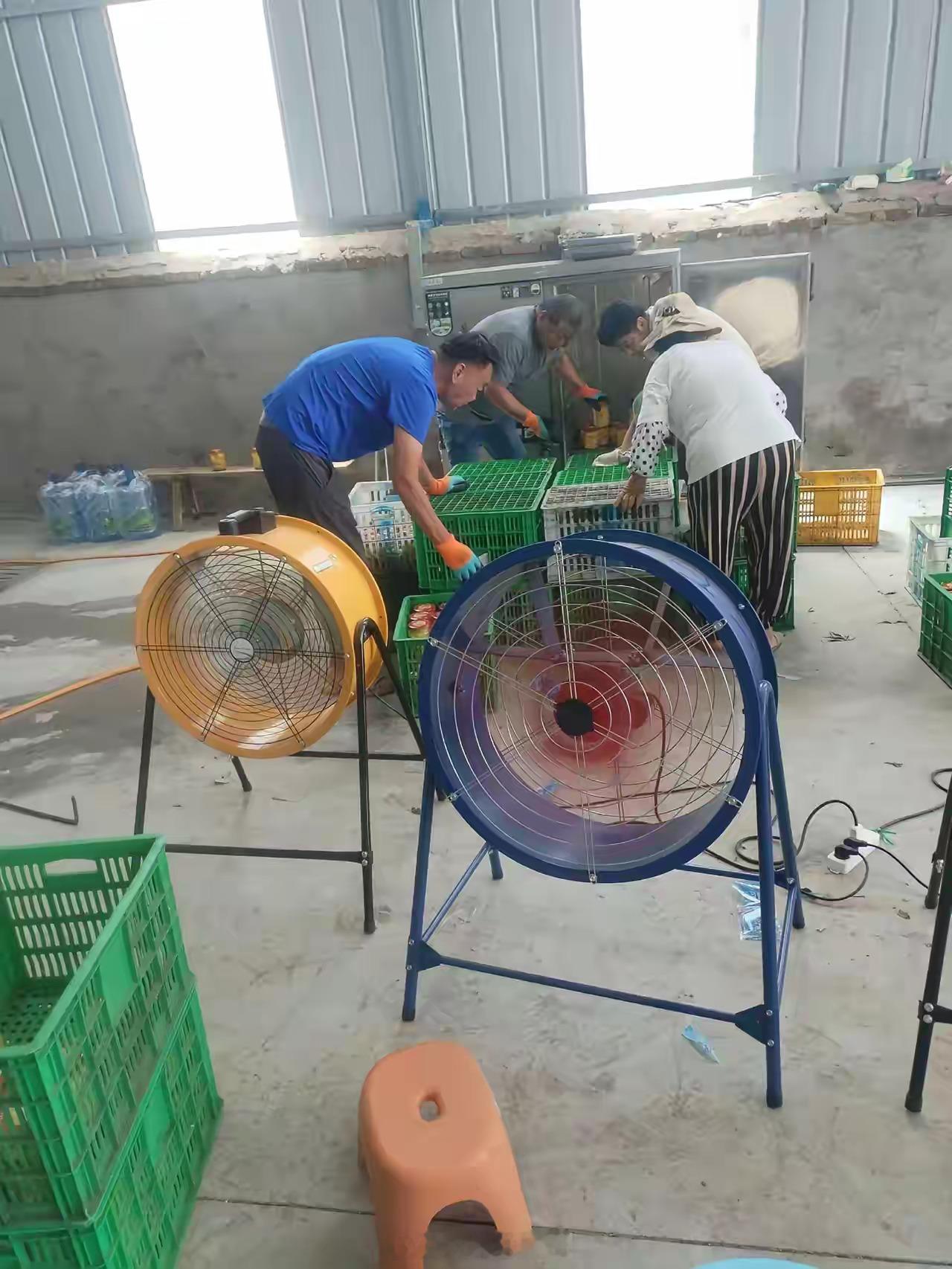 北方的小作坊，好像是罐头厂。你们拼的黄桃罐头也许是这样生产的。虽然粗糙，但用的是