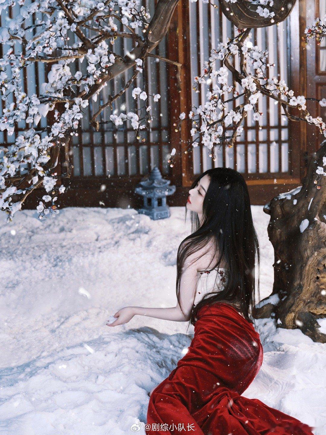 孔雪儿 全世界最适合雪的女人 孔雪儿的“雪中红梅”造型，堪称一次成功的美学实验。