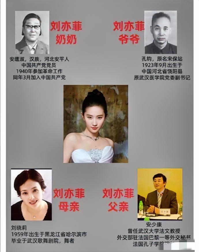 不得不说，刘亦菲的家庭背景，真的是普通人难以企及的天花板！
 
翻完她的家族脉络