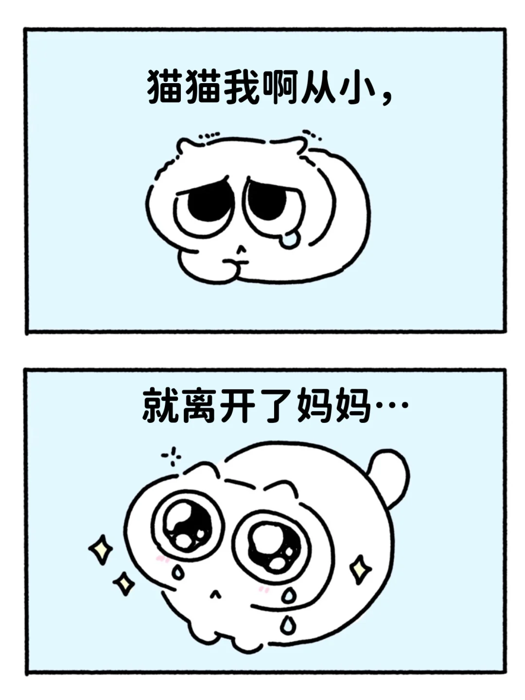 猫猫我啊从小就离开了妈妈…💧