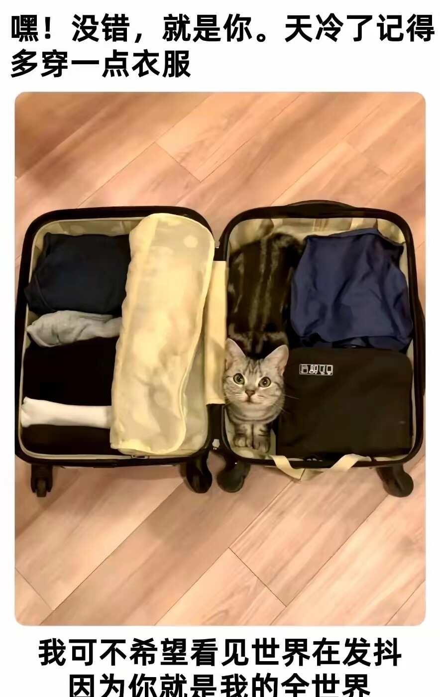 今日份meme梗图
meme 此图有梗