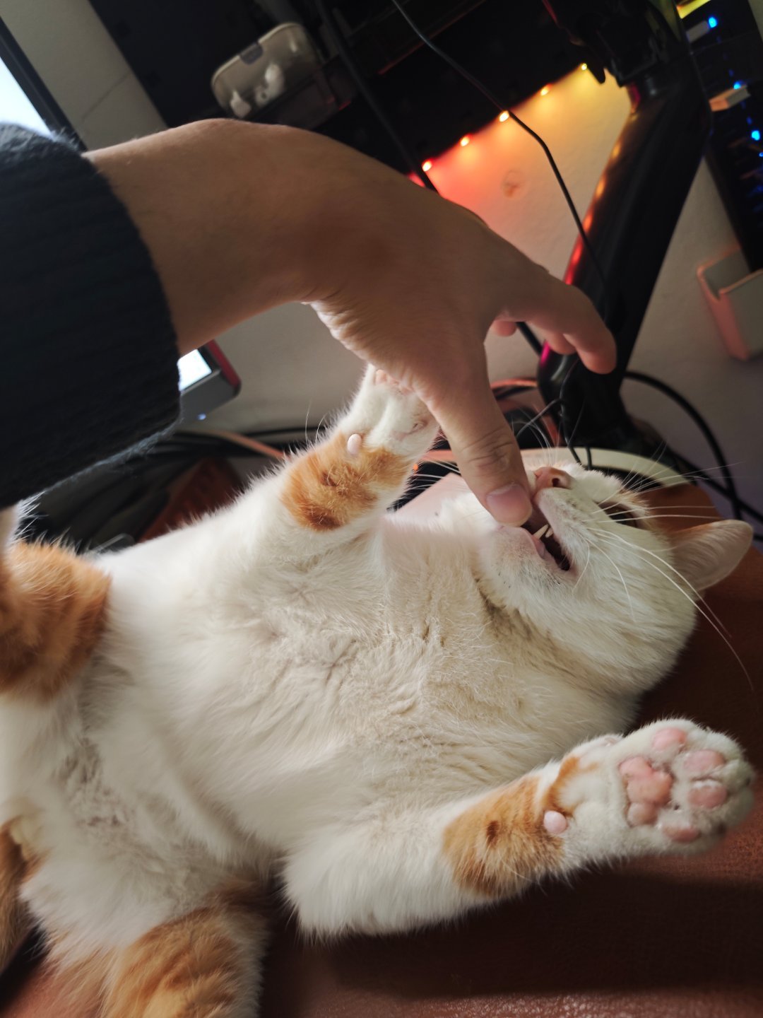 对毕业0-3年的兄弟姐妹们的一点建议：1.别随便换工作，下一个工作会更好但你得找