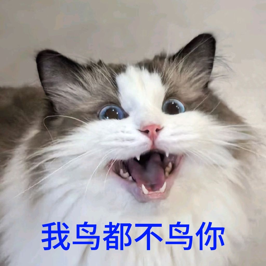 分享图片 ​​​