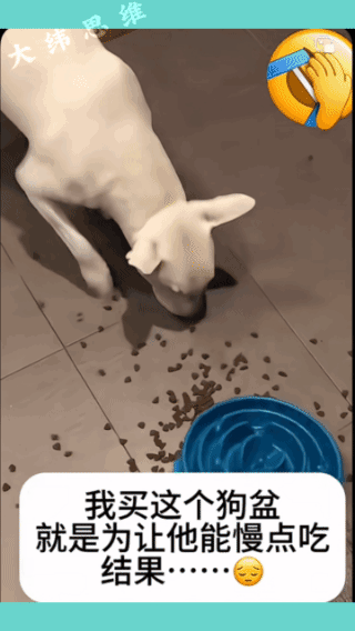 事实证明，
循规蹈矩，
往往吃不饱！