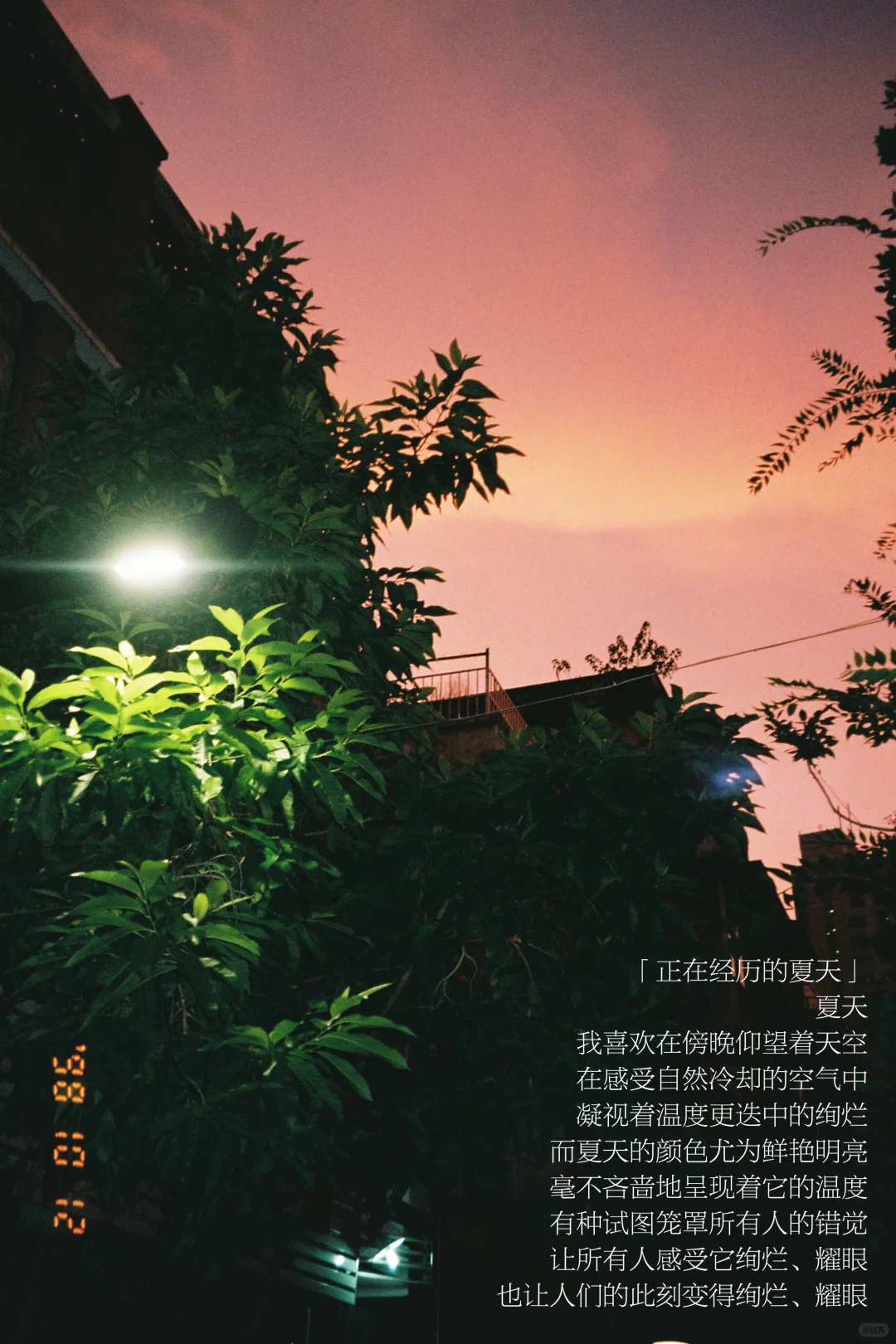 一切绚烂、松弛、流动的事物都在吸引我向前。