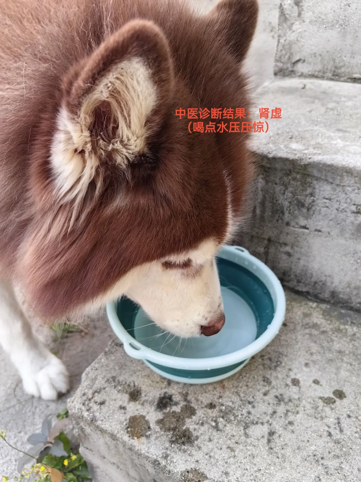 囊肿手术5个月后，今天来复诊了……好消息：没有复发 坏消息：膀胱炎，肾虚 😅