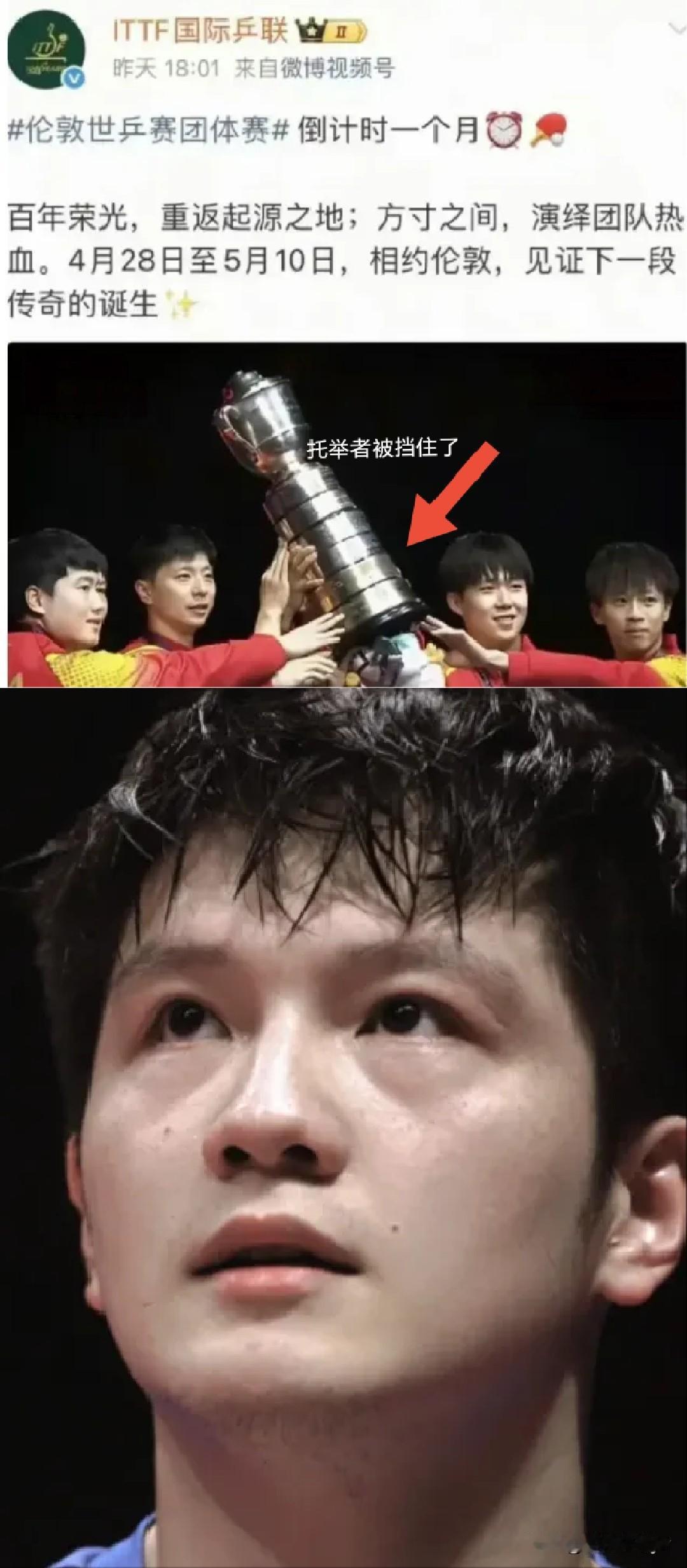 ITFT国际乒联格局小了！

人家小胖都自愿放弃参赛资格了。

出张海报都不让人