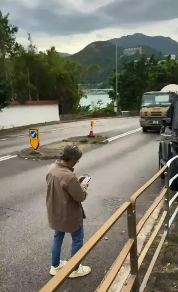 躲狗出意外，陈导也是好心。不过下次遇到这种情况，大家记得先保人再保动物，安全第一