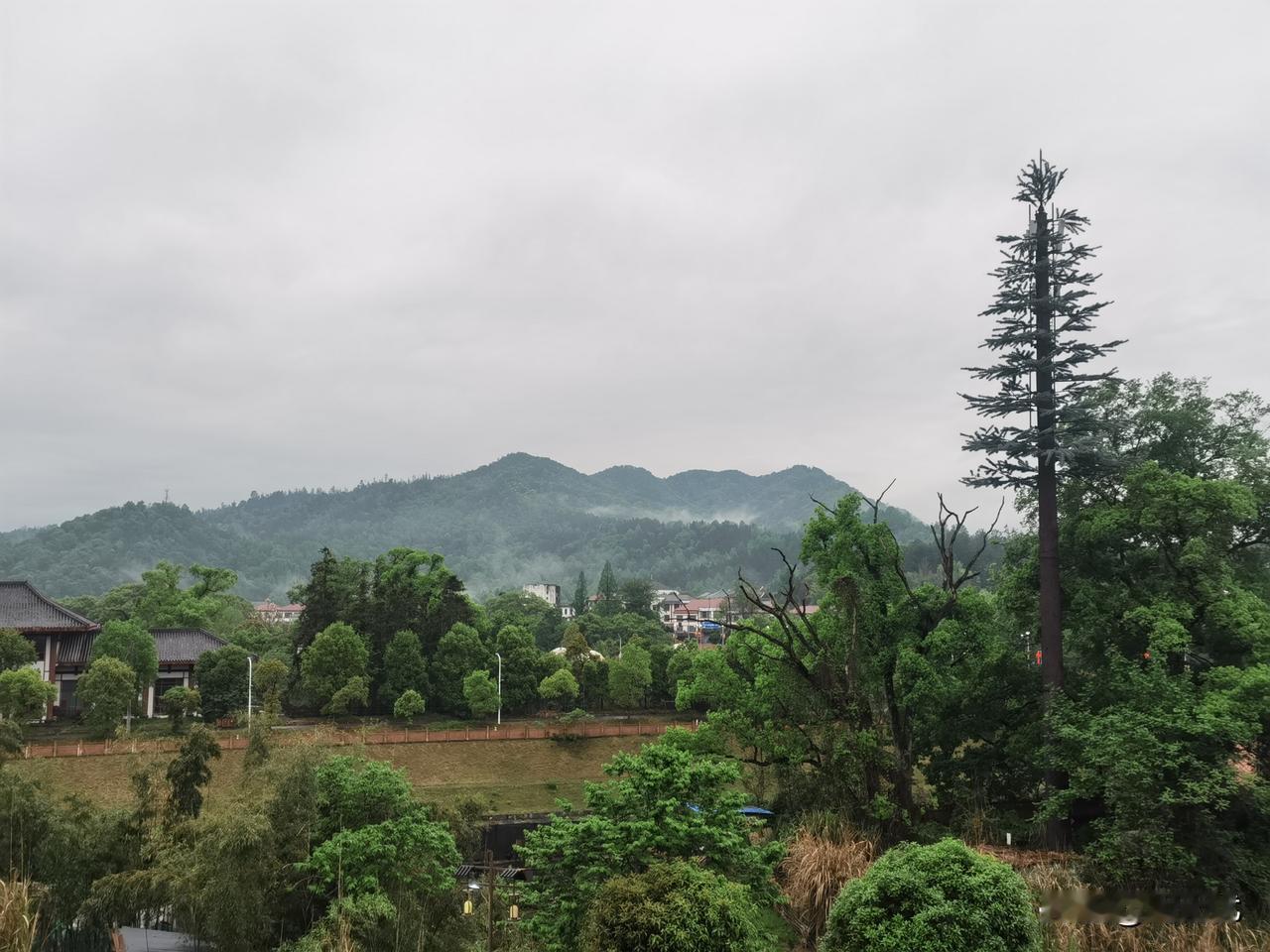 特朗普拉低了美国人的下限。
他这一段时间的疯狂行为，不仅仅是世界人民看轻了他，美