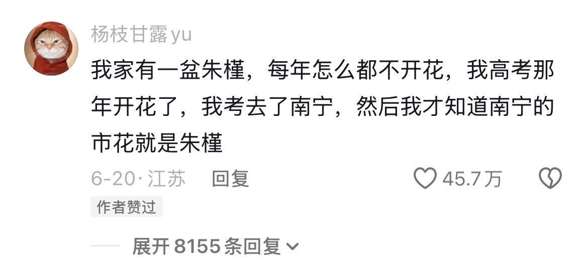 机关算尽不如命运轻描一笔 