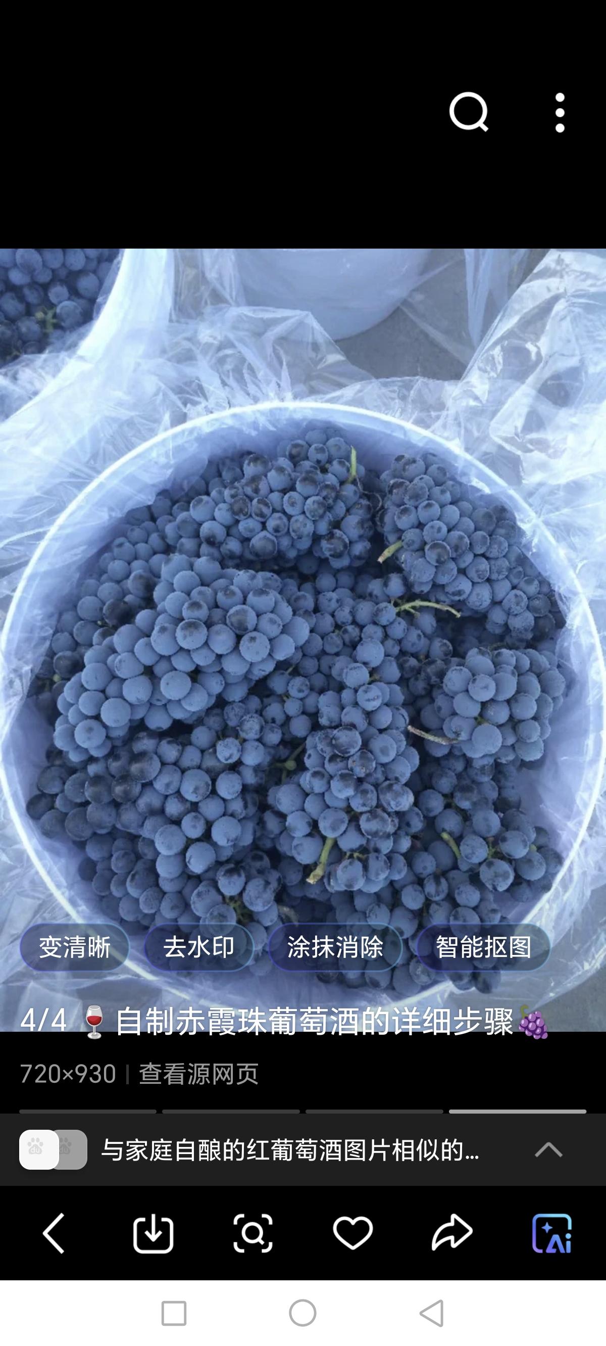 每当这个中秋季节，就想起了我母亲在家自酿红葡萄酒的过程。

我母亲信奉喝自家酿的