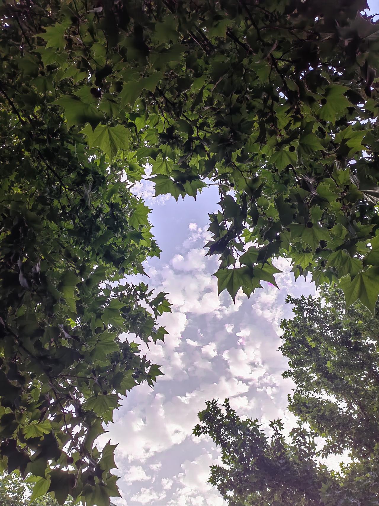 五代汉隐帝刘承佑曾做了一个奇怪的梦，梦见（后来的周太祖）郭威变成了驴，背着他上天