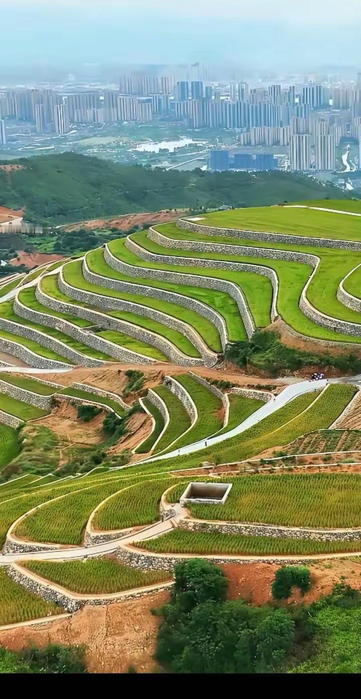 几代农民的艰苦奋斗，换来今天的美丽乡村同时要感谢党的正确领导，感谢国家的富民政策
