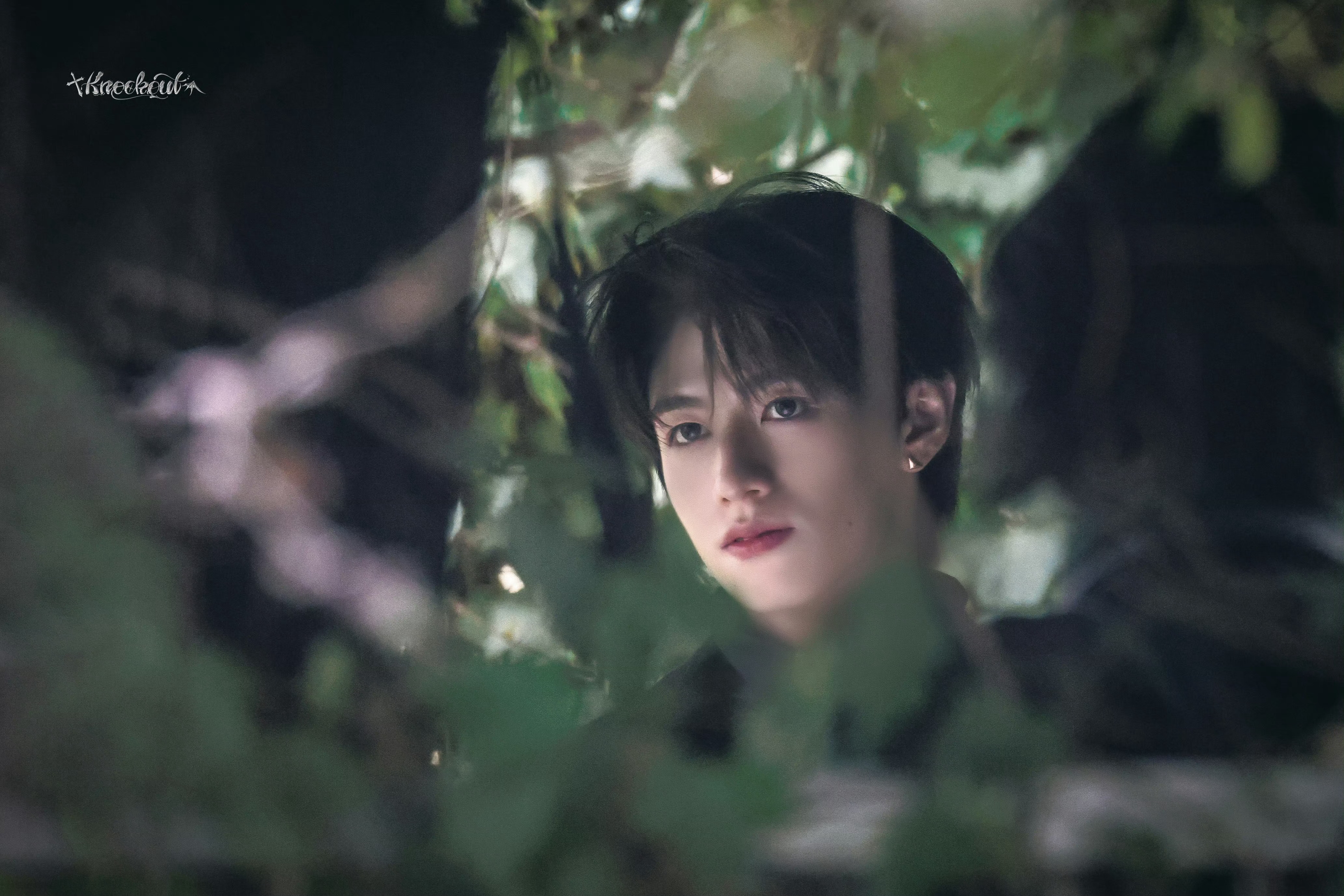 真是漂亮～  专栏 · 芝心～