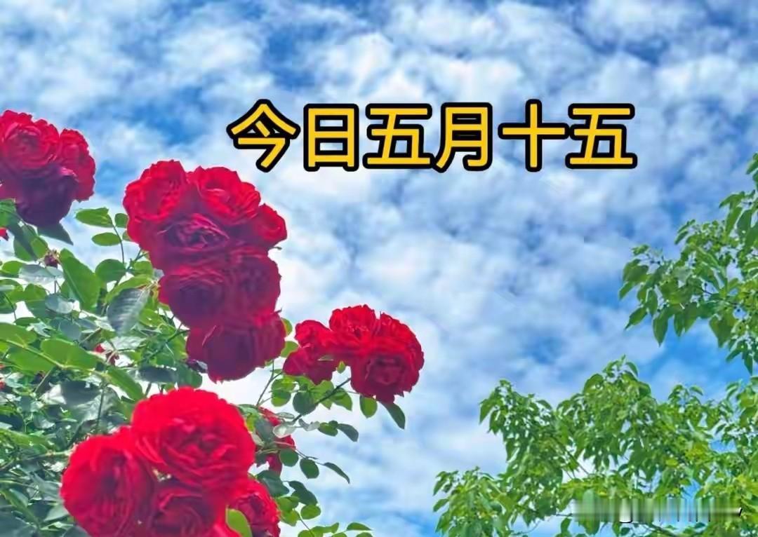 不是迷信！今日五月十五，记得：1不穿，2不吃，3不做，别不当事
 
农历五月十五