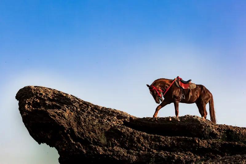 马年祝福想要有创意，其中门道可不少！上班时说“不能马虎，工作马到成功”就十分巧妙