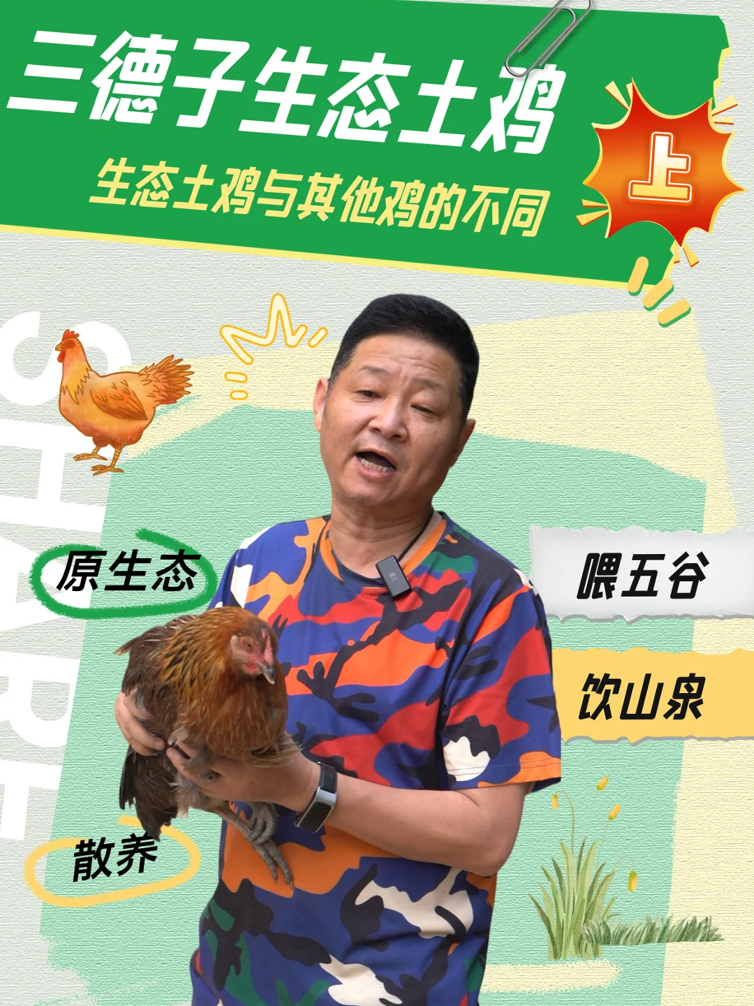 生态土鸡与其他鸡的不同“上篇”